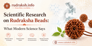 uploads/blog/34793290897806a059fc7de565scientific research.png